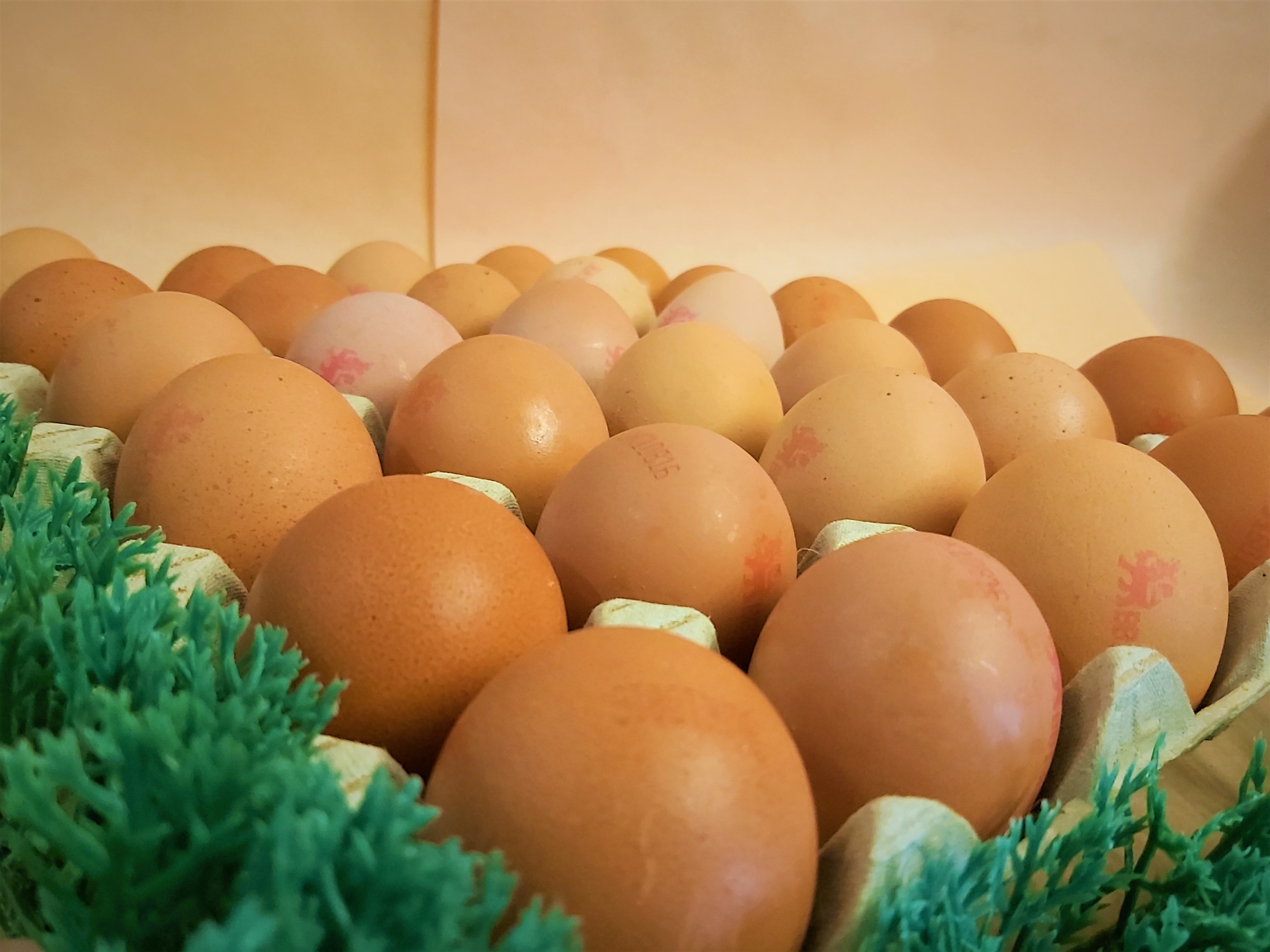 Just Cutts Butchers - Other - Just Cutts Products